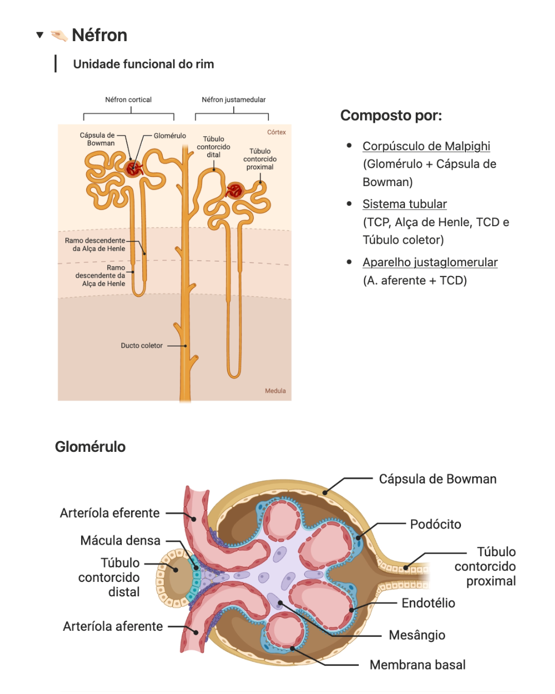 Resumo 1