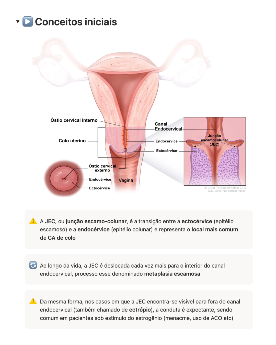 Resumo 4