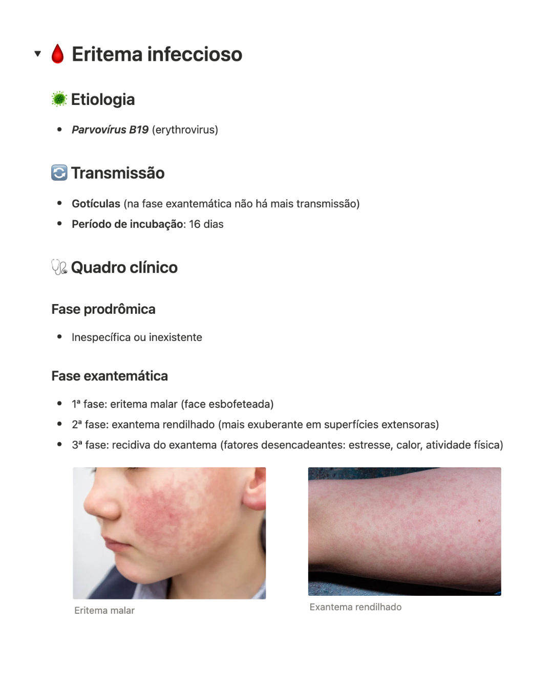 Resumo 3